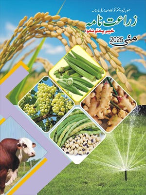Zarat Nama May 2025